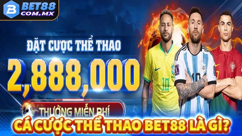 Cá cược thể thao bet88 là gì?